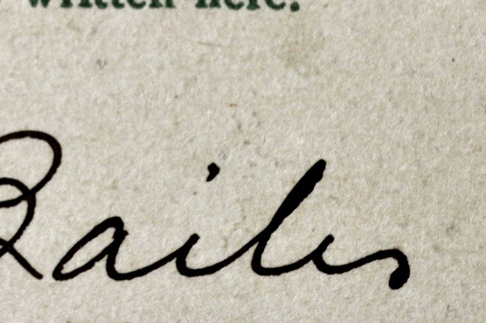 postcard-polly-detail Vintage Postcard Detail