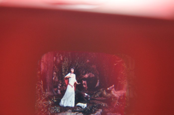 viewmaster-sw Mlle herself