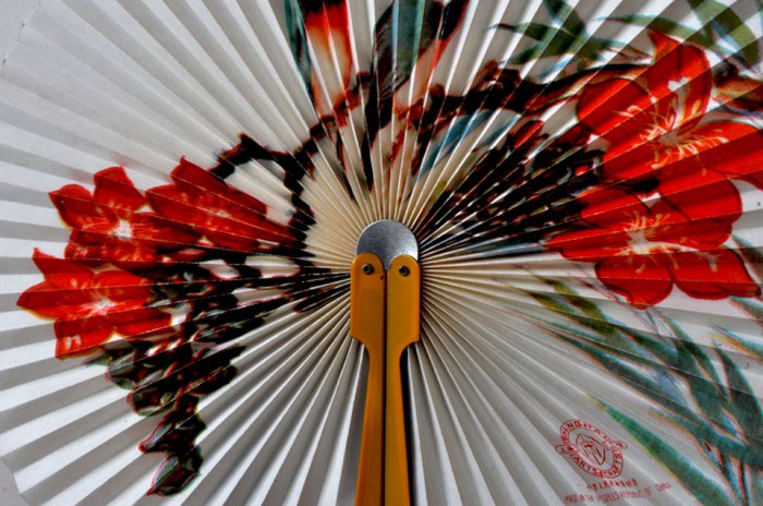 Chinese Paper Fan detail