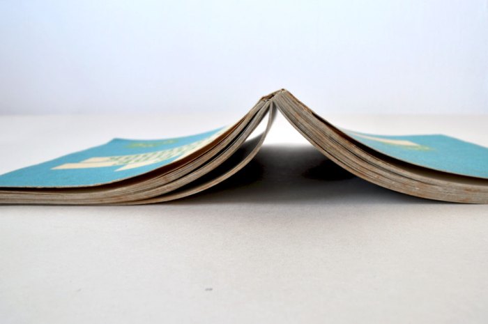 The Guide Handbook