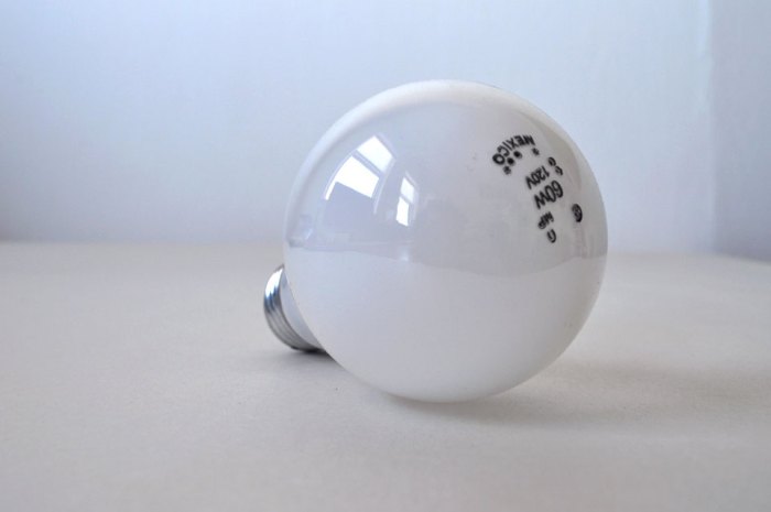 lightbulb1 Light Bulb