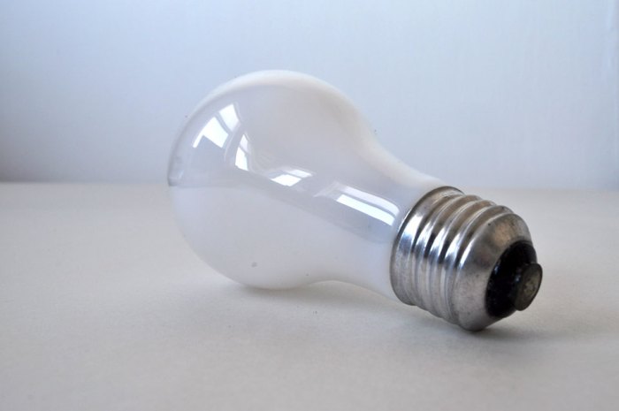 lightbulb445 Light bulb