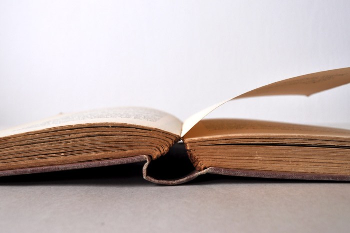 Book Open