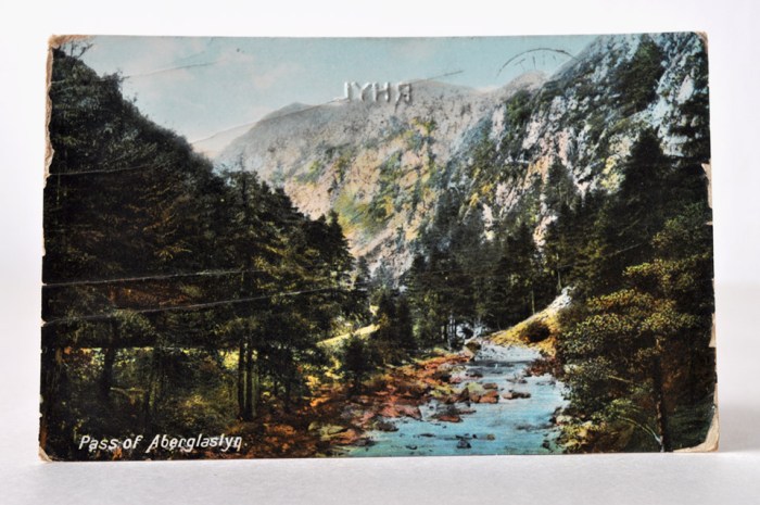 Vintage Postcard