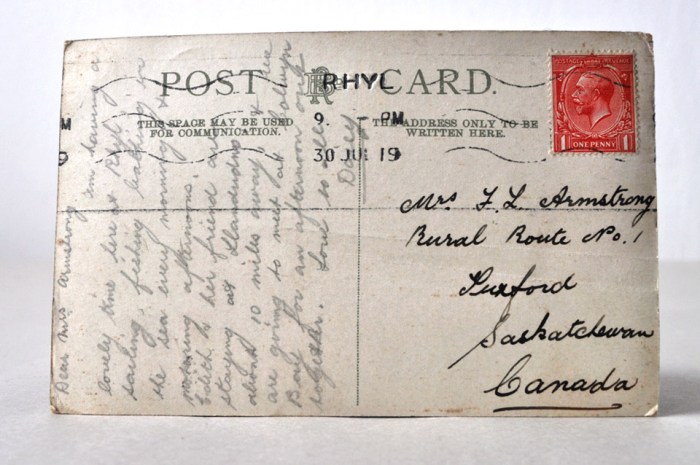 Vintage Postcard