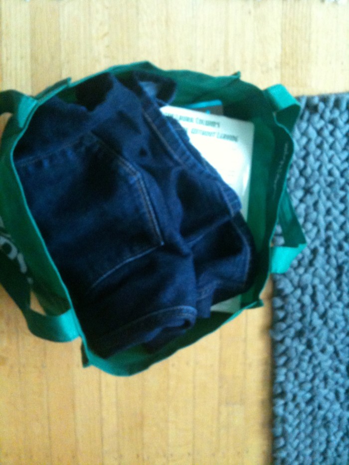IMG_5427 Bag for Sally Ann 2