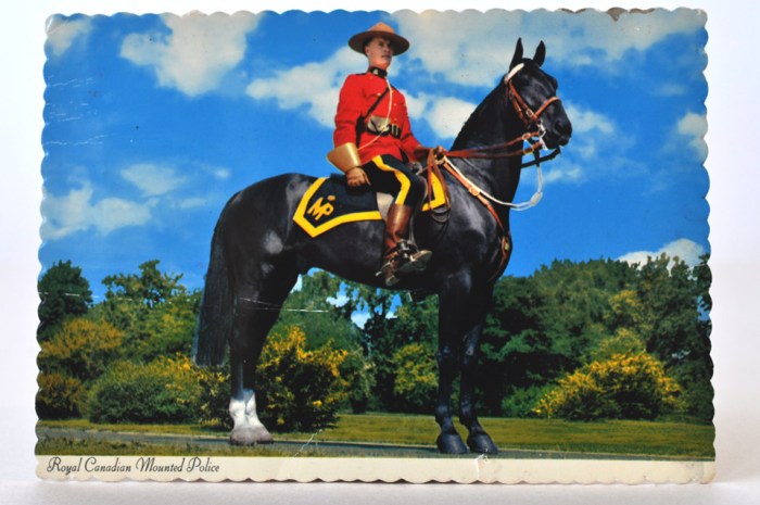Postcard Mountie