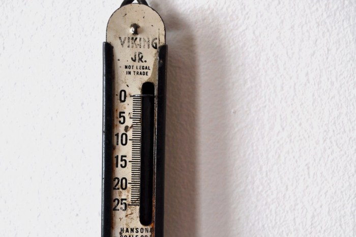 Weight Scale
