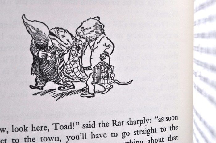 book-wind1 Book WInd in the Willows