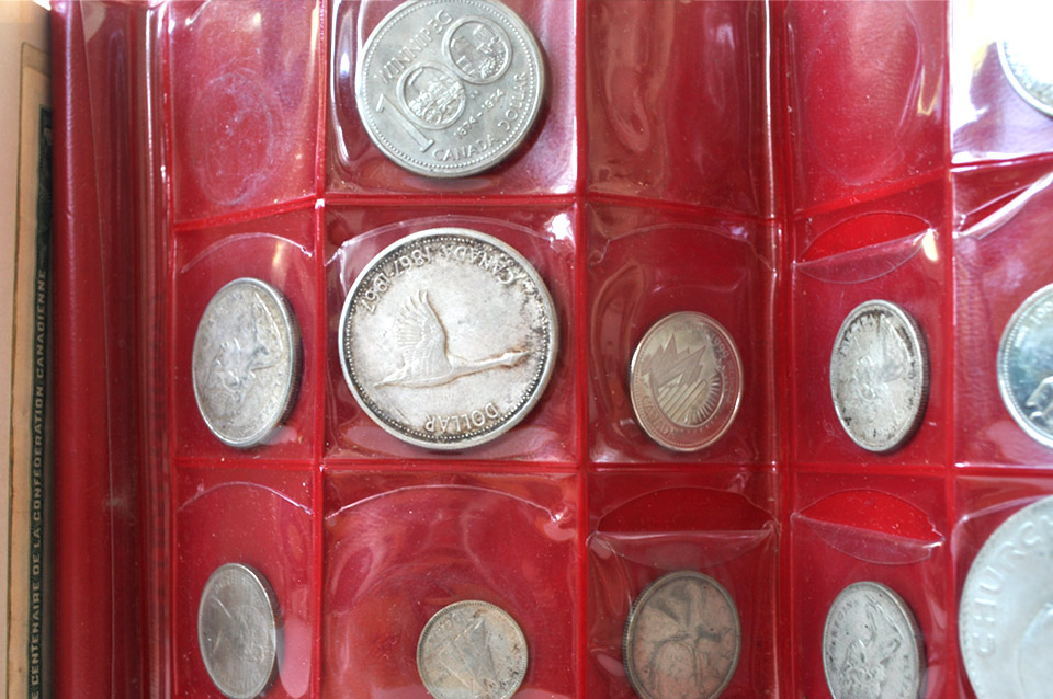 Coin Collection