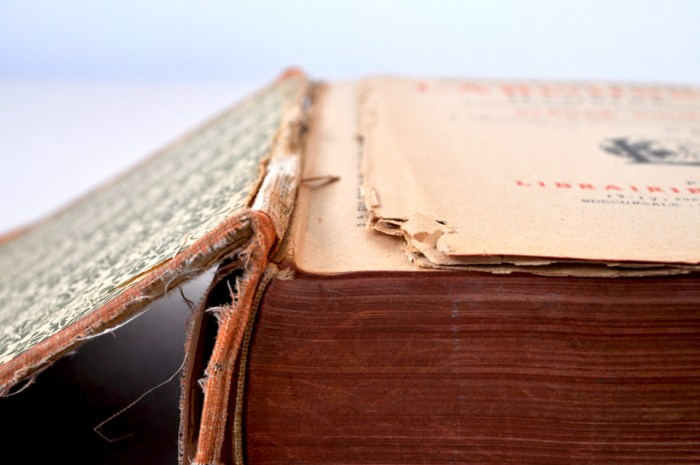 Larousse Illustre