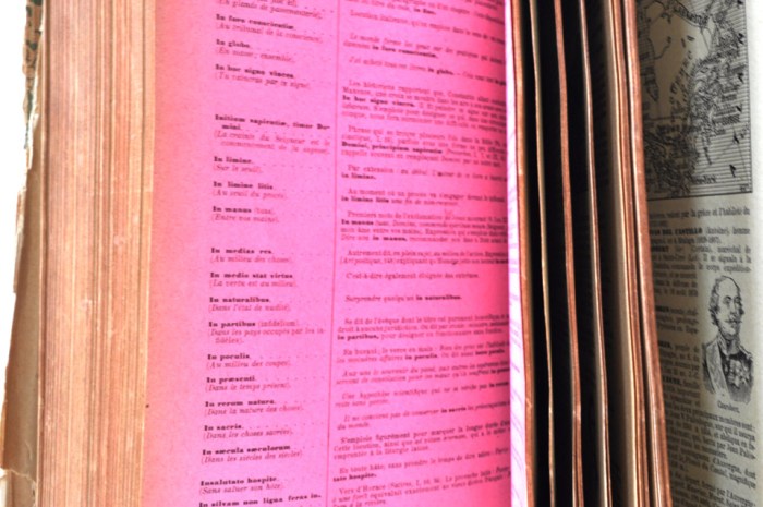 Larousse Illustre Pink Page