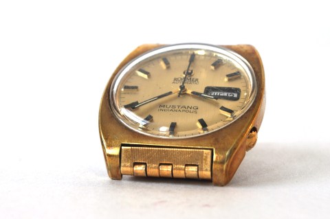 Mustang Watch