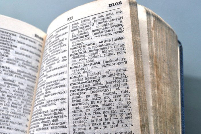 book-dictionary2 French English Dictionary