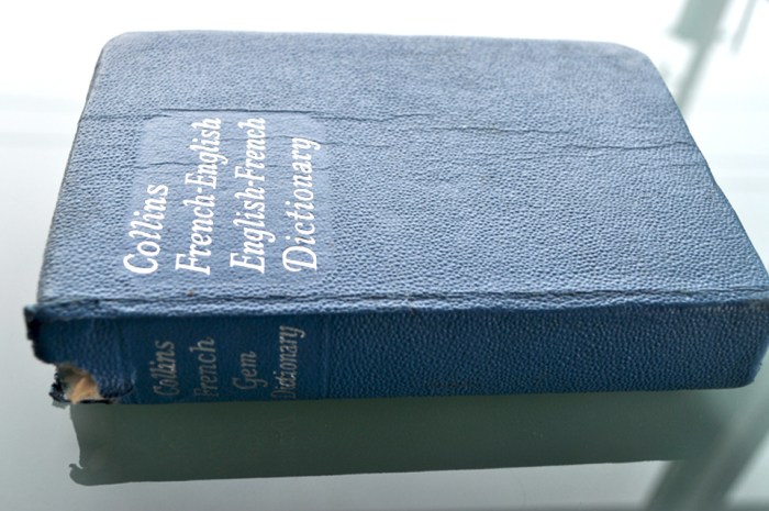 book-dictionary3 French English Dictionary