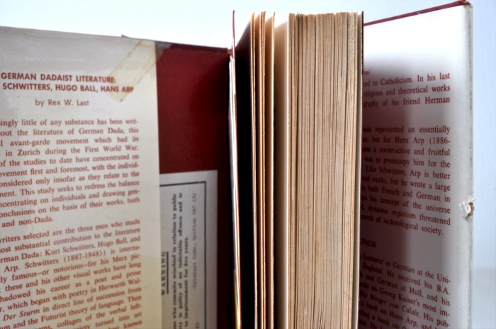 Book German Dadaist LIterature