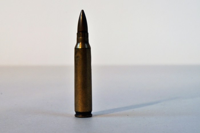 bullet