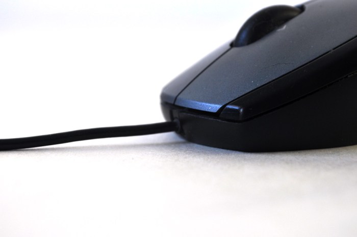 Mouse