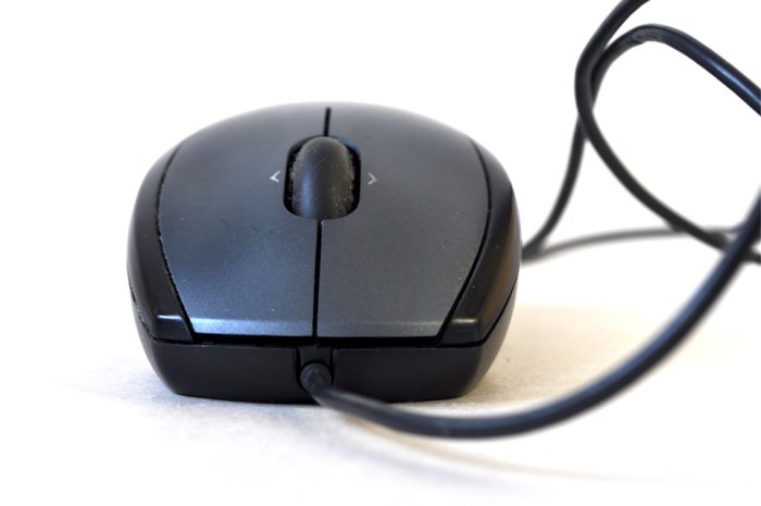 Mouse