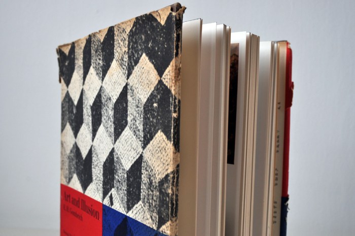 Art and Illusion Book