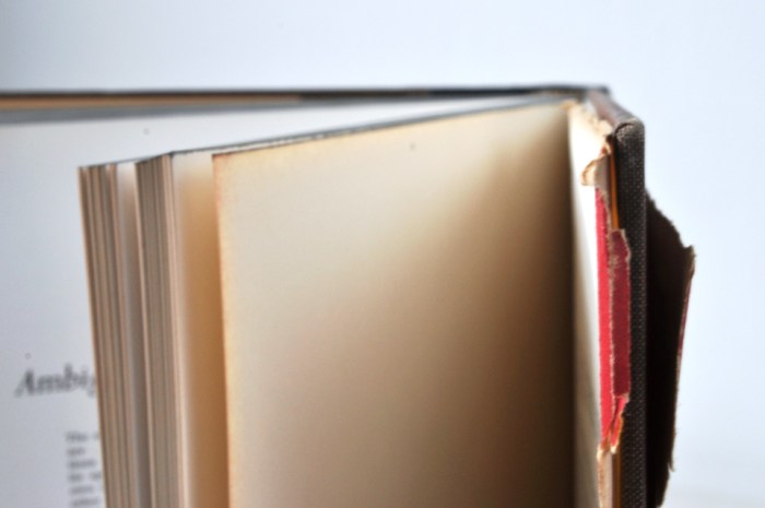 Art and Illusion Book