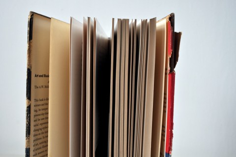 Art and Illusion Book