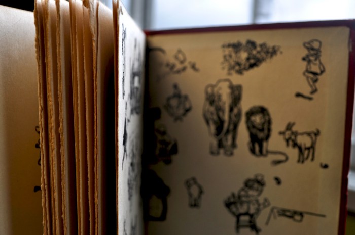Book When We Were Young