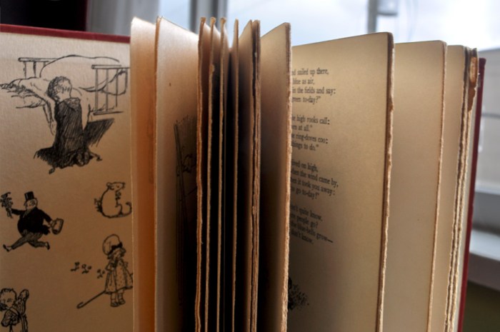 Book When We Were Young