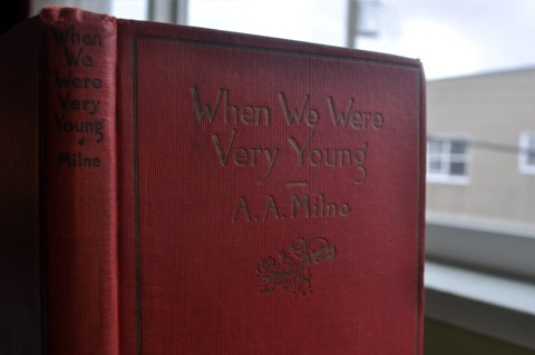 Book When We Were Young