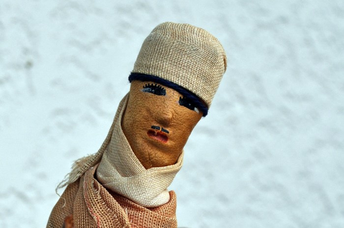 Camel