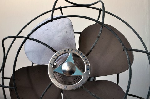 Fan