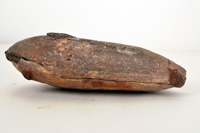 Fossil