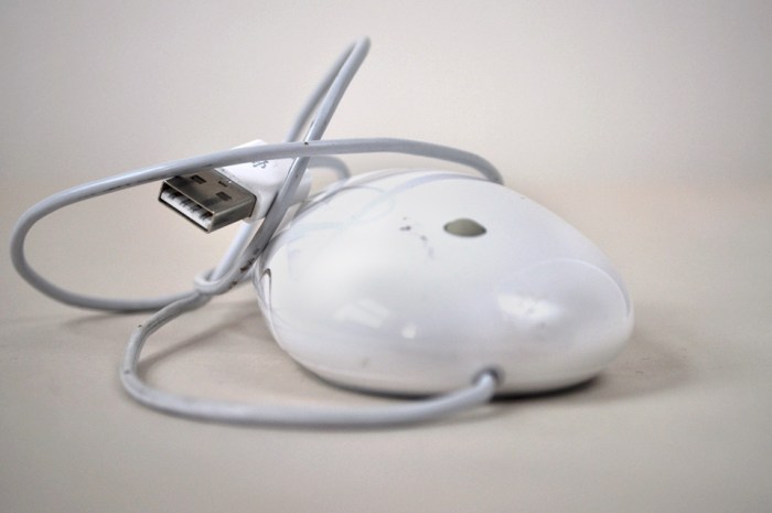White Mouse