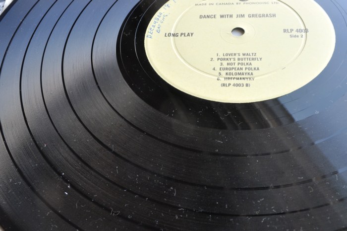 Vinyl - Polka Dance Album